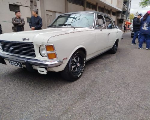 WhatsApp Image 2025-10-22 at 08.22.33