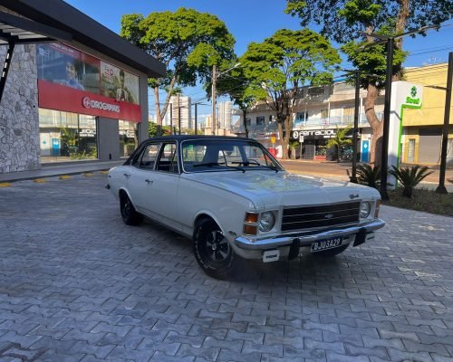 WhatsApp Image 2025-10-22 at 08.22.34 (2)