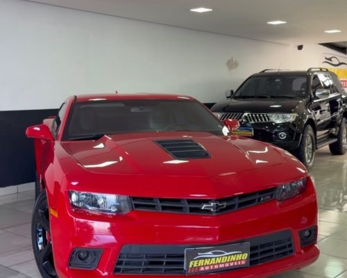 WhatsApp Image 2026-02-28 at 12.09.14